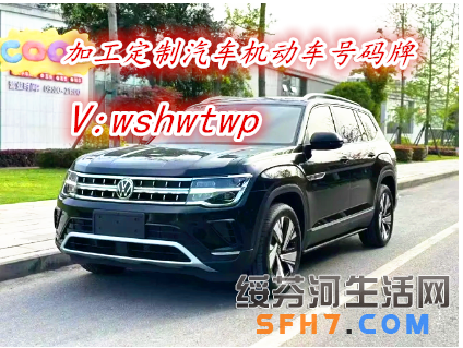 2025年大众途昂  汽车号牌定做